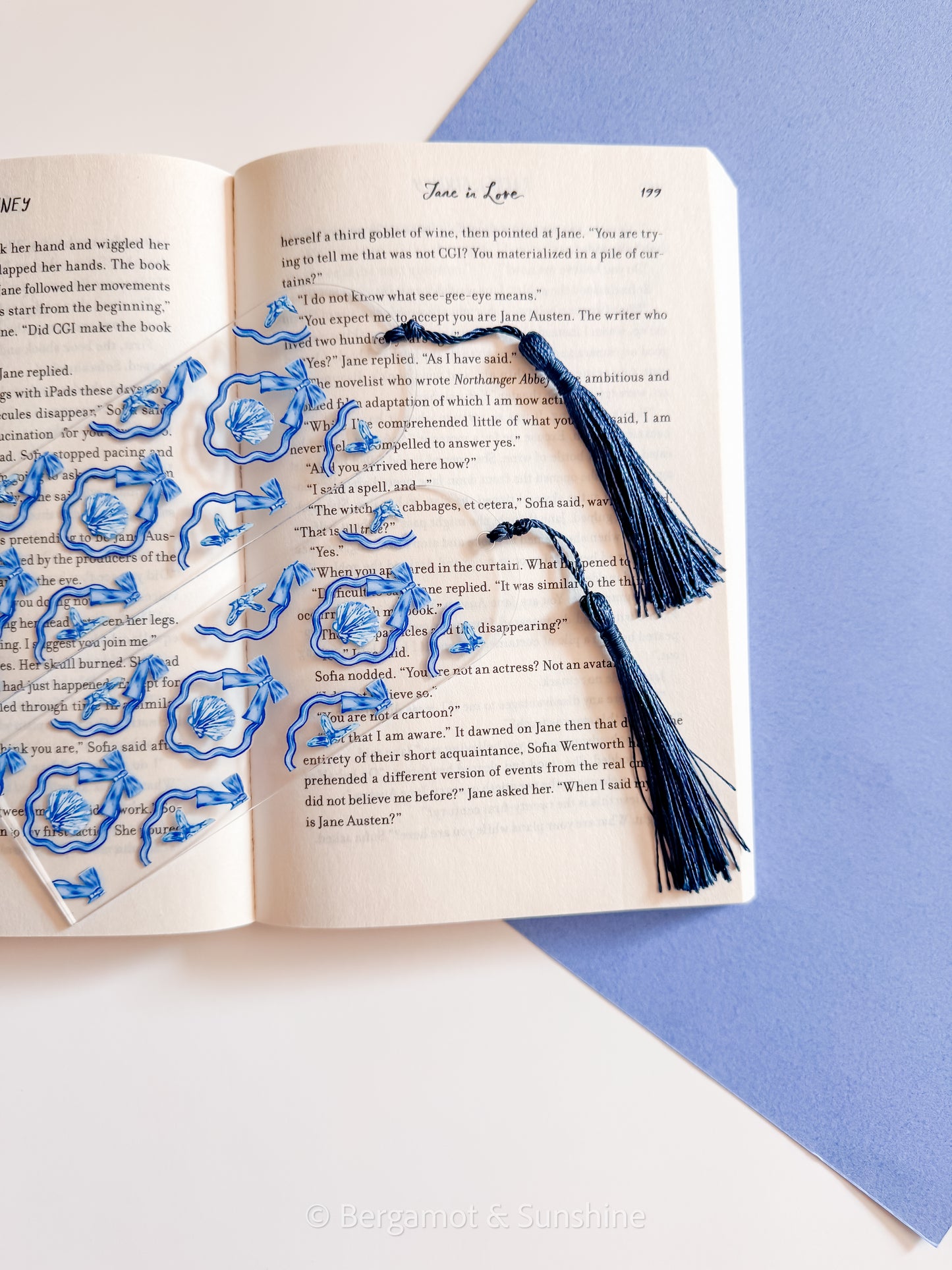 Framed Coquette Sea Shells Bookmark