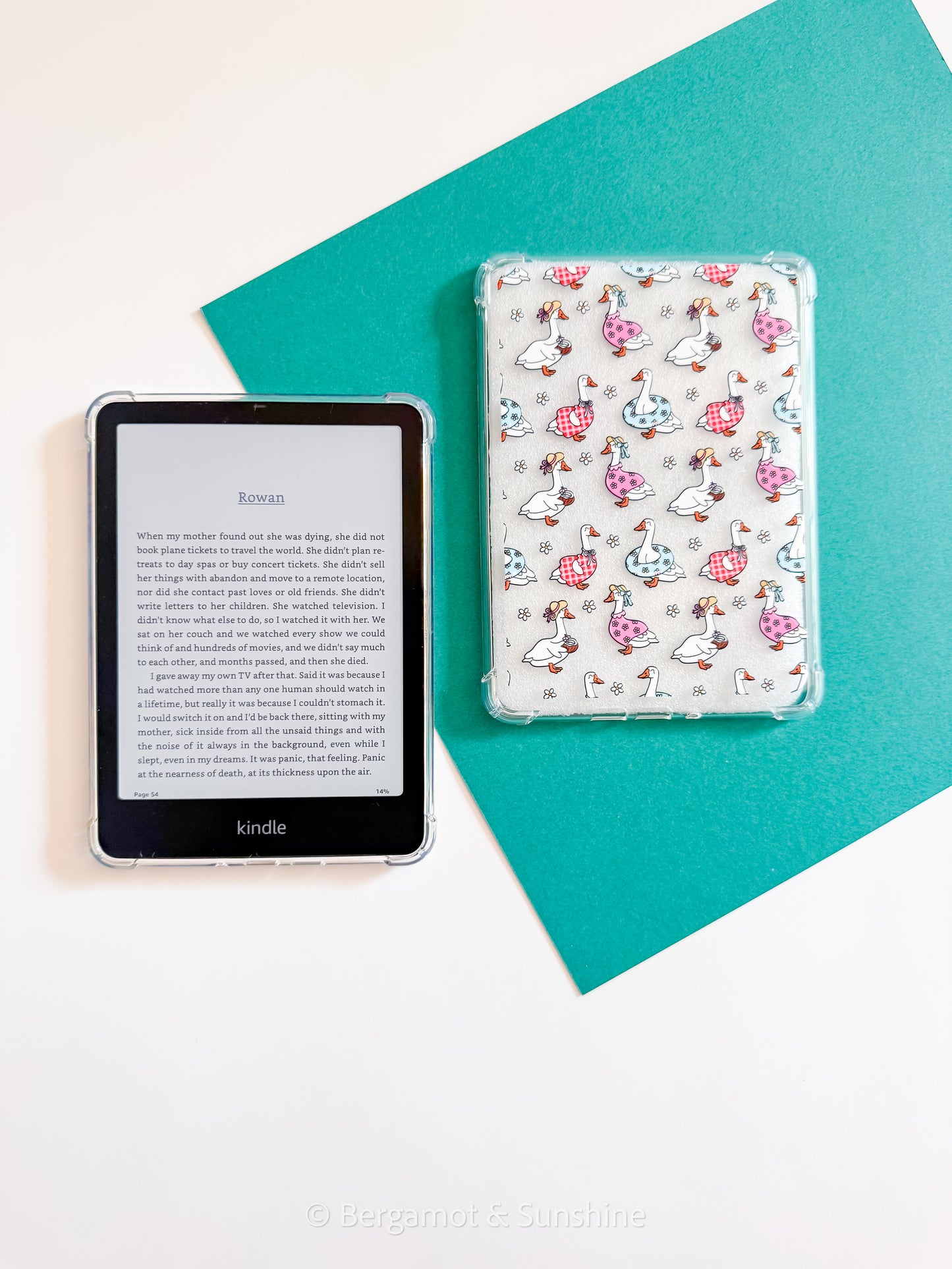 Poolside Geese E Reader Case