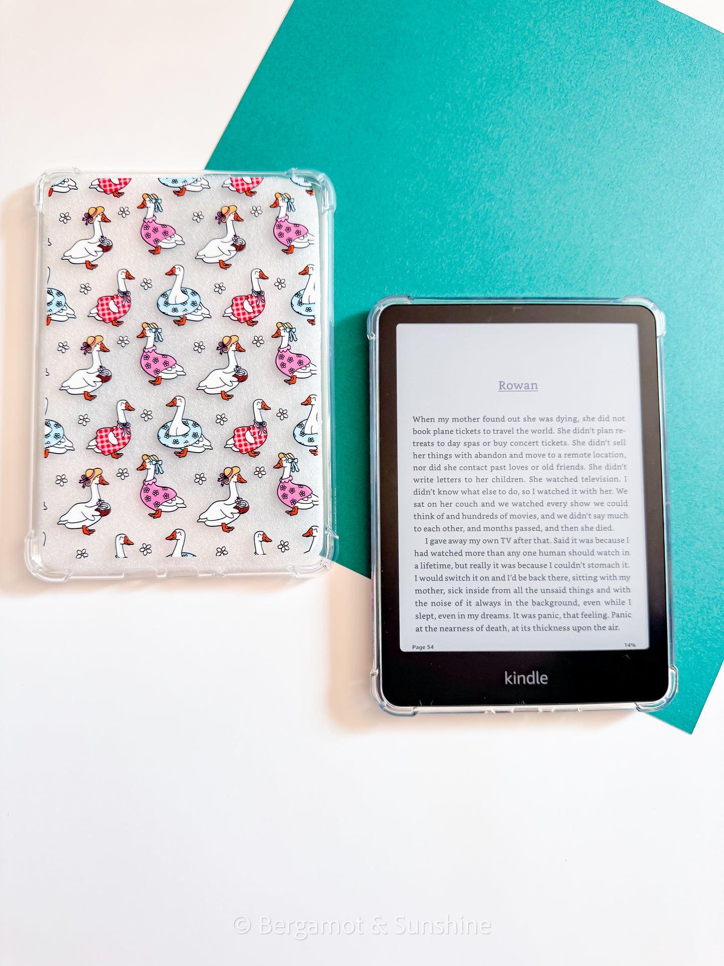 Poolside Geese E Reader Case
