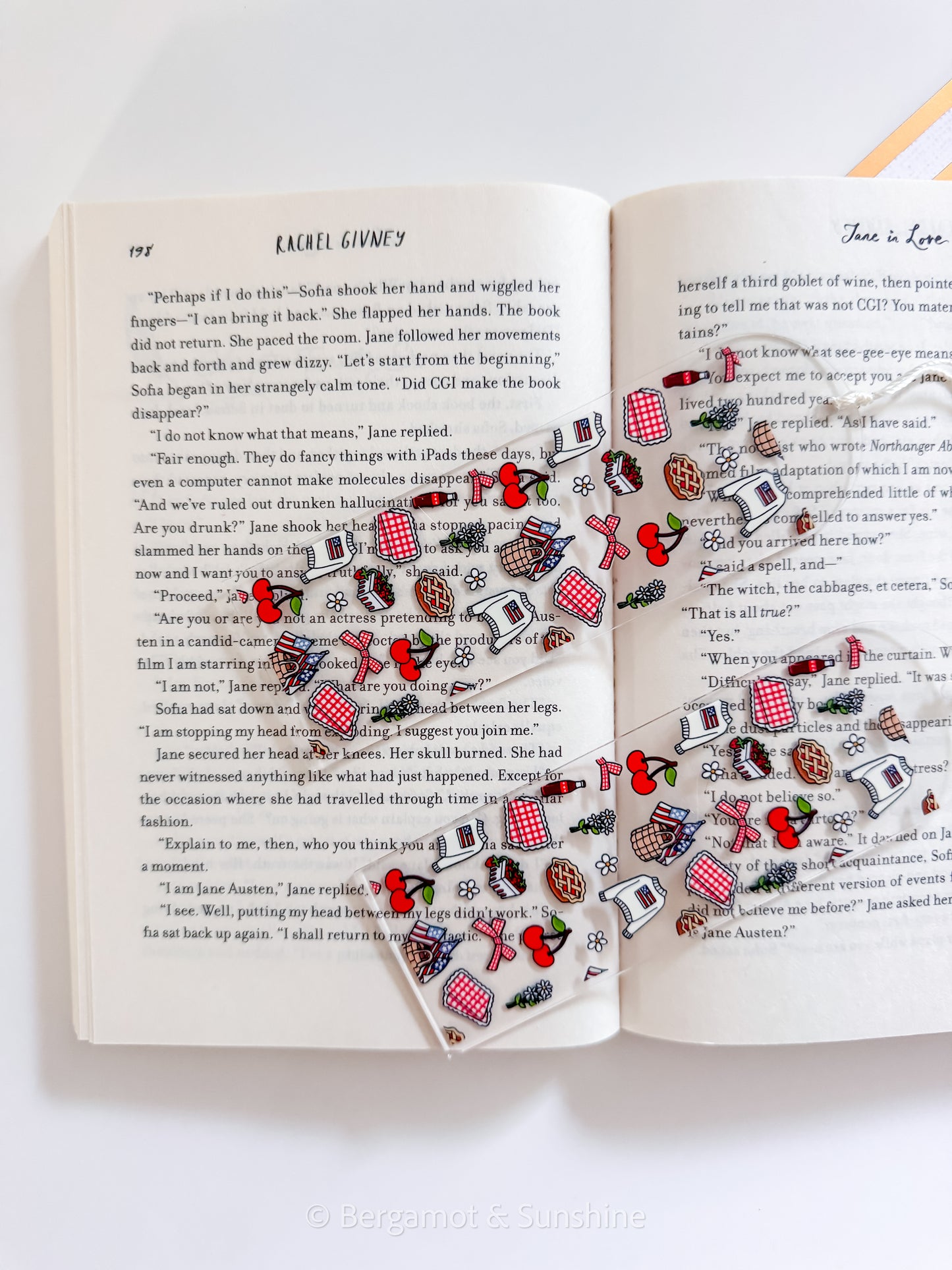 Americana Picnic E Reader Case and/or Bookmark [Combined Listing]